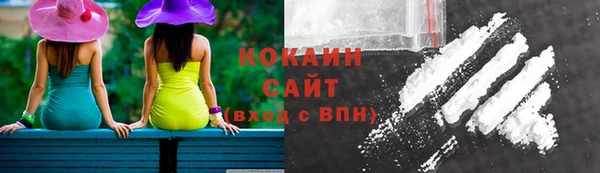 дурь Богданович