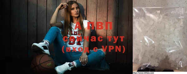 дурь Богданович