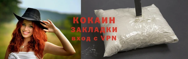 дурь Богданович