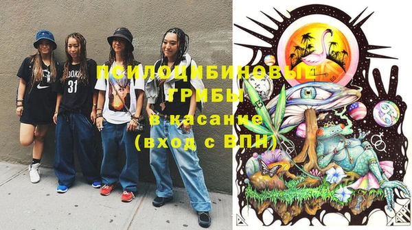 дурь Богданович