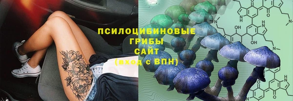 ГАЛЛЮЦИНОГЕННЫЕ ГРИБЫ Пестово