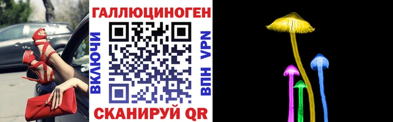 Псилоцибиновые грибы прущие грибы  Нижний Тагил 